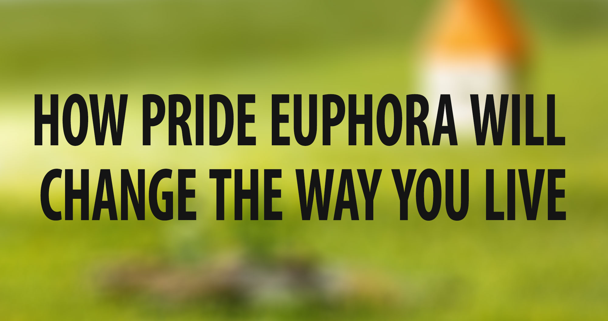 How Pride Euphora Will Change the Way You Live