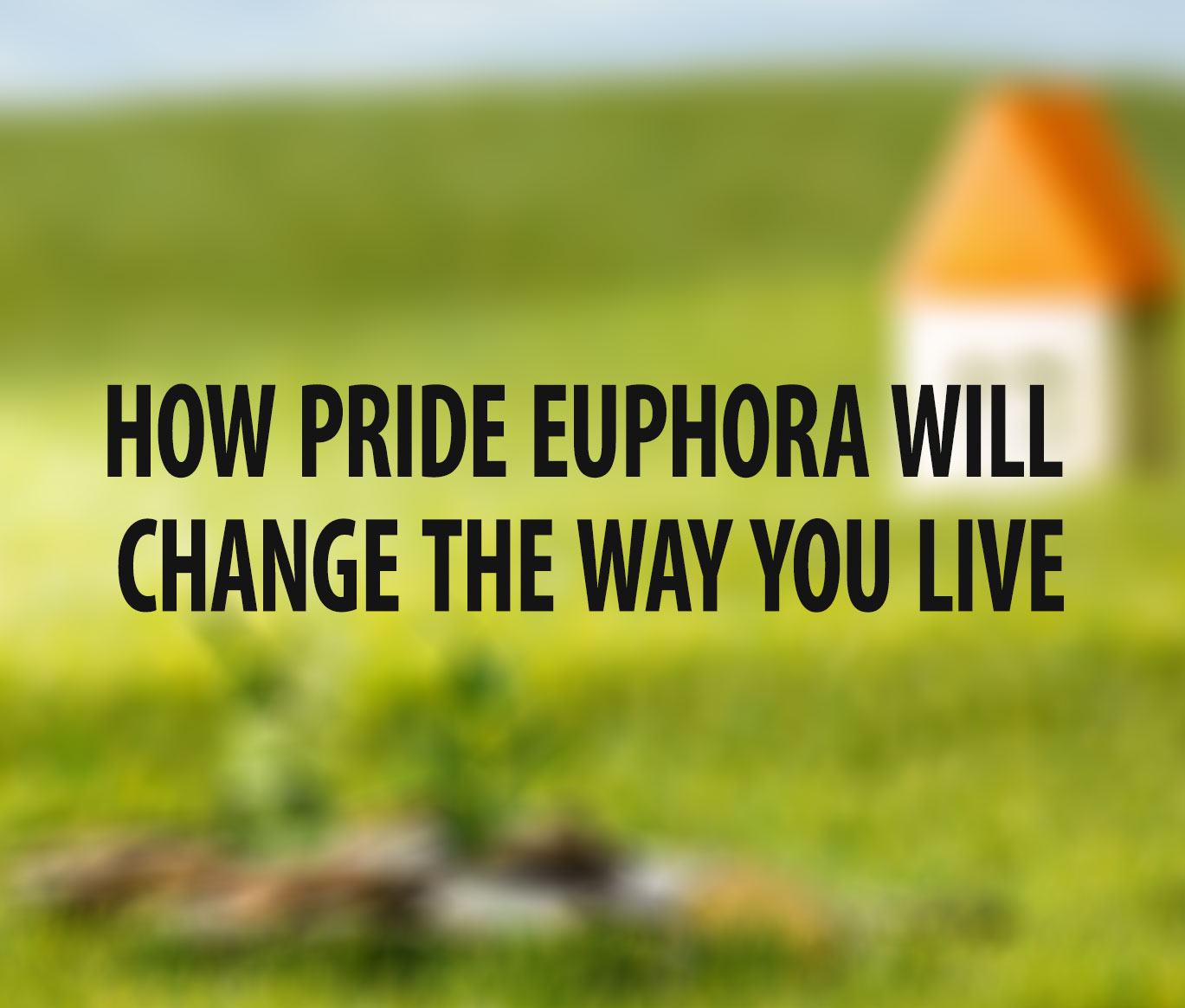 How Pride Euphora Will Change the Way You Live